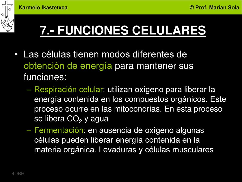 7.- FUNCIONES CELULARES Las células tienen modos diferentes de obtención de energía para mantener sus funciones: