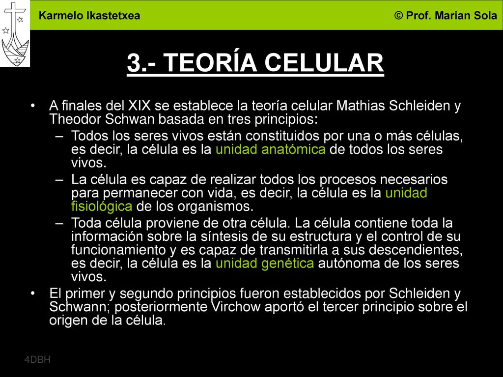 3.- TEORÍA CELULAR A finales del XIX se establece la teoría celular Mathias Schleiden y Theodor Schwan basada en tres principios: