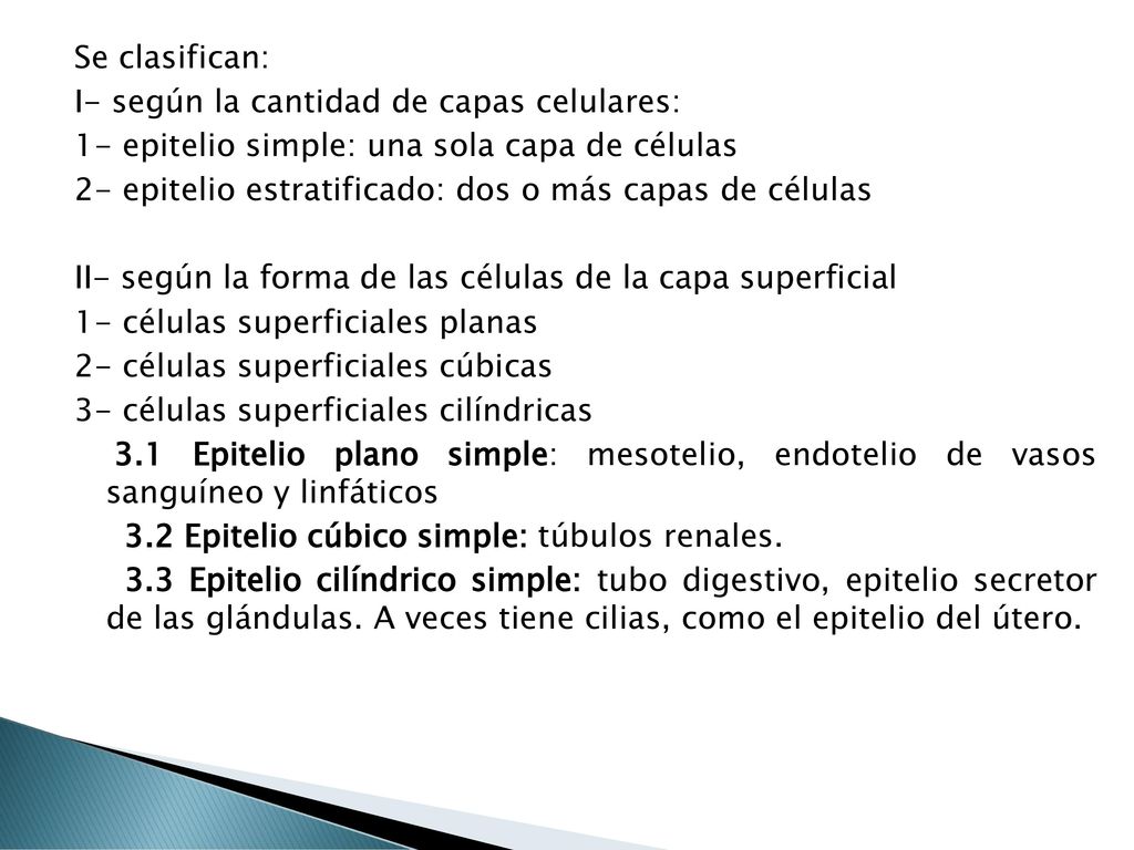 Se clasifican: I- según la cantidad de capas celulares: 1- epitelio simple: una sola capa de células 2- epitelio estratificado: dos o más capas de células II- según la forma de las células de la capa superficial 1- células superficiales planas 2- células superficiales cúbicas 3- células superficiales cilíndricas 3.1 Epitelio plano simple: mesotelio, endotelio de vasos sanguíneo y linfáticos 3.2 Epitelio cúbico simple: túbulos renales.