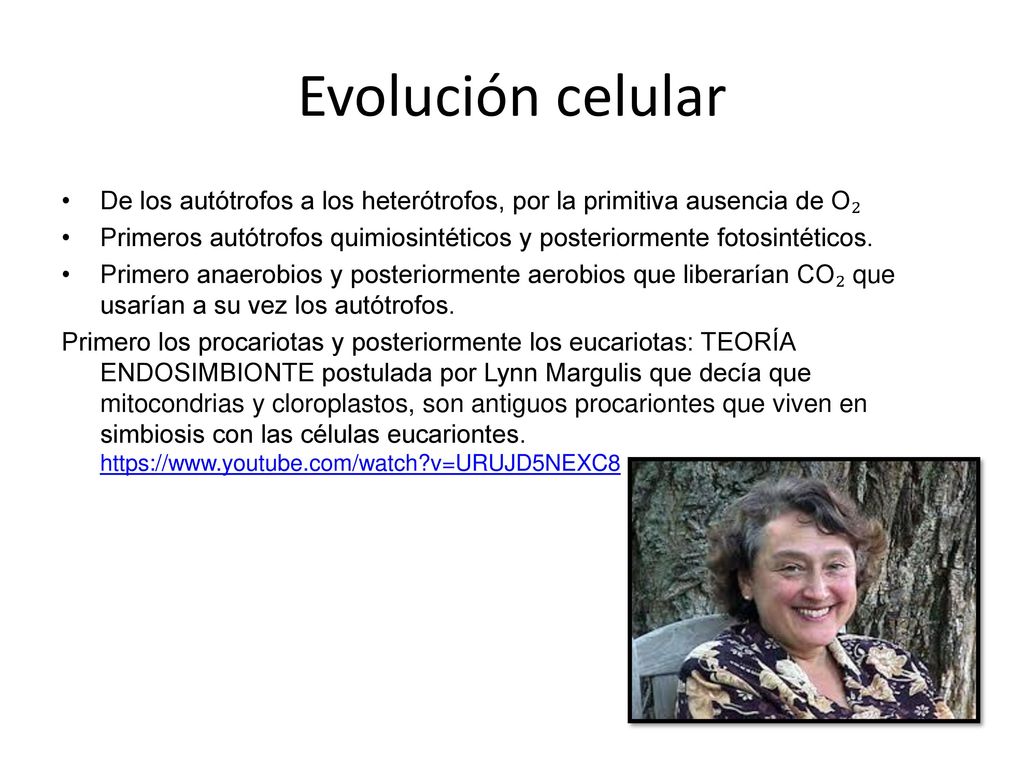Evolución celular De los autótrofos a los heterótrofos, por la primitiva ausencia de O₂.