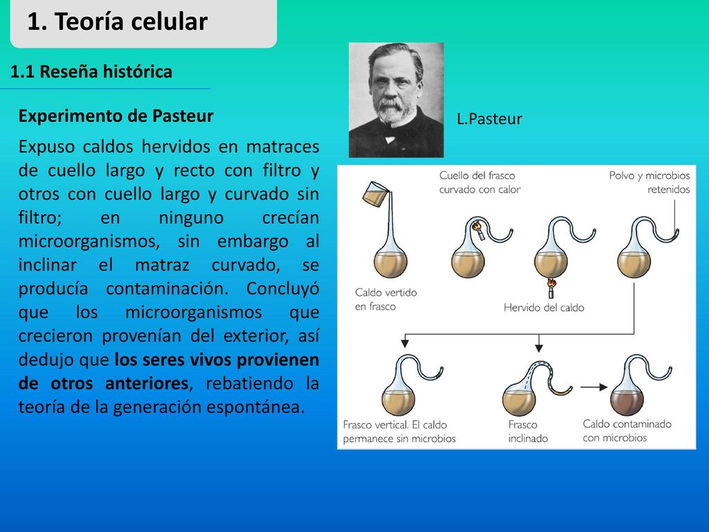 1. Teoría celular 1.1 Reseña histórica Experimento de Pasteur