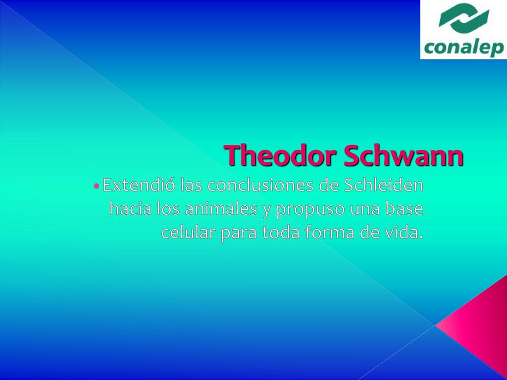 Theodor Schwann Extendió las conclusiones de Schleiden hacia los animales y propuso una base celular para toda forma de vida.