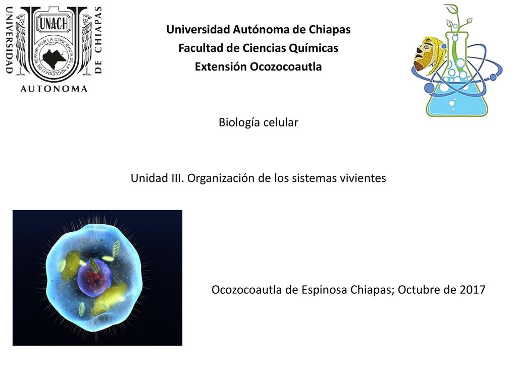 Universidad Autónoma de Chiapas Facultad de Ciencias Químicas Extensión Ocozocoautla Biología celular Unidad III.