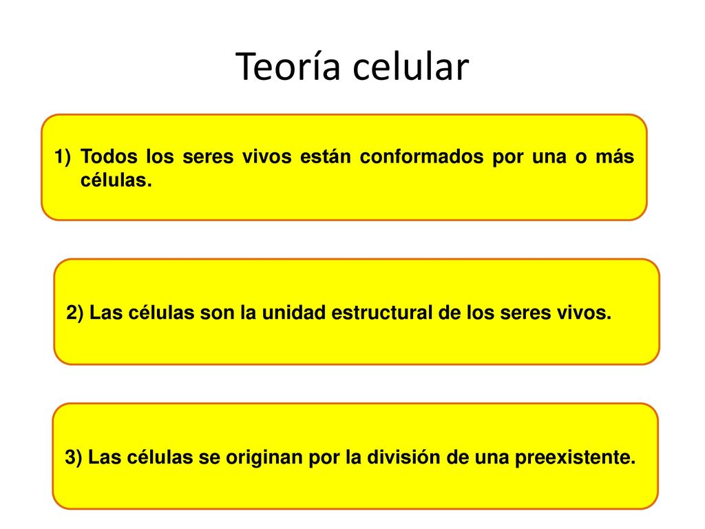 Teoría celular Todos los seres vivos están conformados por una o más células. 2) Las células son la unidad estructural de los seres vivos.