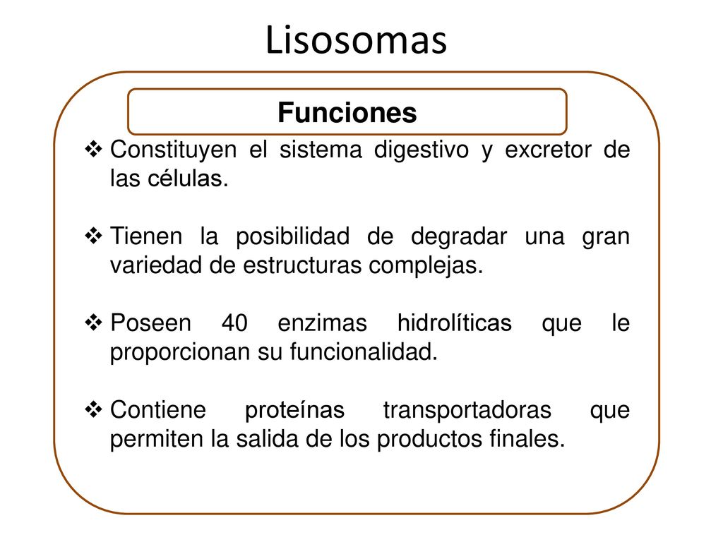 Lisosomas Constituyen el sistema digestivo y excretor de las células. Tienen la posibilidad de degradar una gran variedad de estructuras complejas.