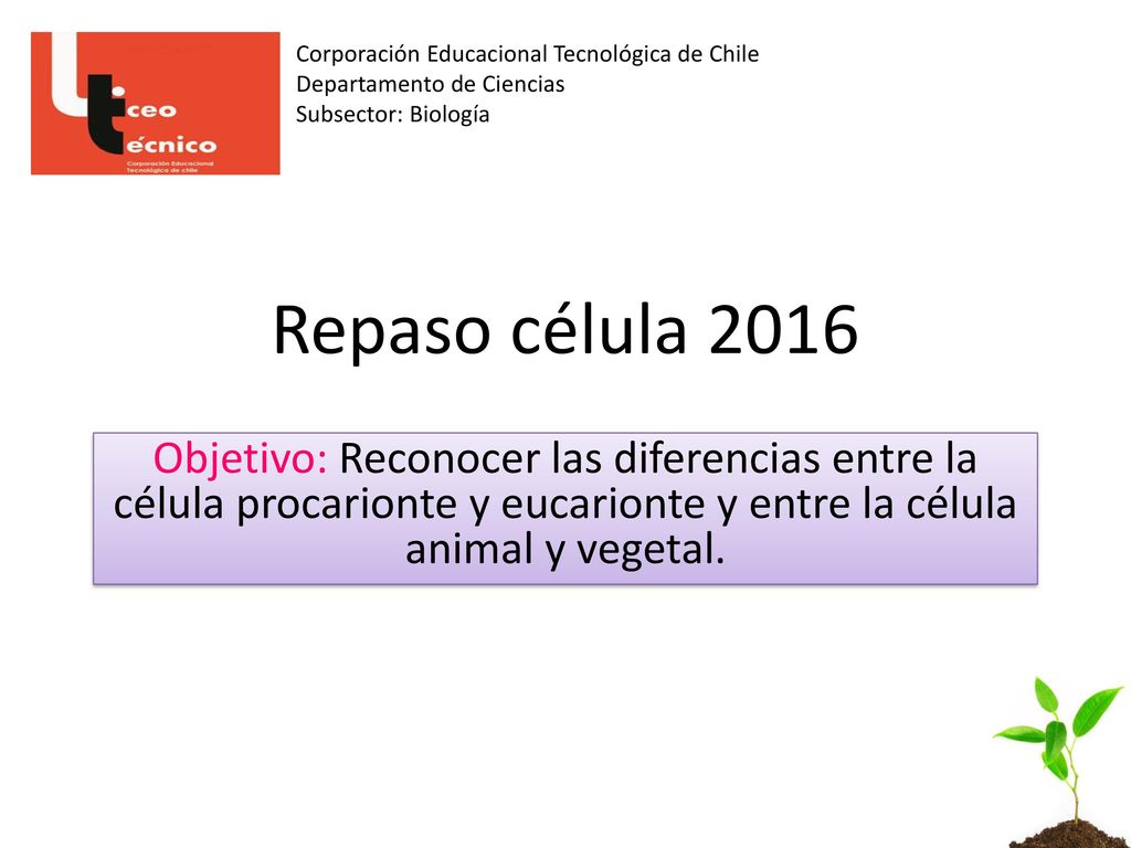 Corporación Educacional Tecnológica de Chile Departamento de Ciencias Subsector: Biología