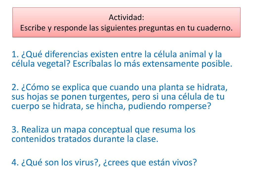 Actividad: Escribe y responde las siguientes preguntas en tu cuaderno.