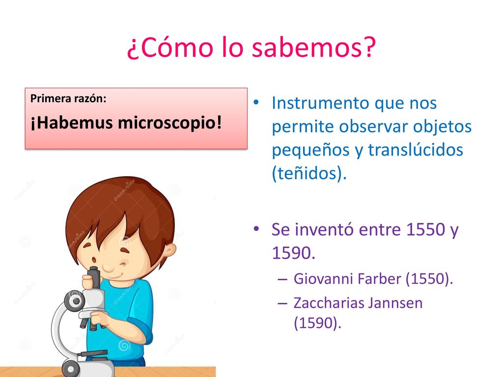 ¿Cómo lo sabemos Primera razón: ¡Habemus microscopio! Instrumento que nos permite observar objetos pequeños y translúcidos (teñidos).
