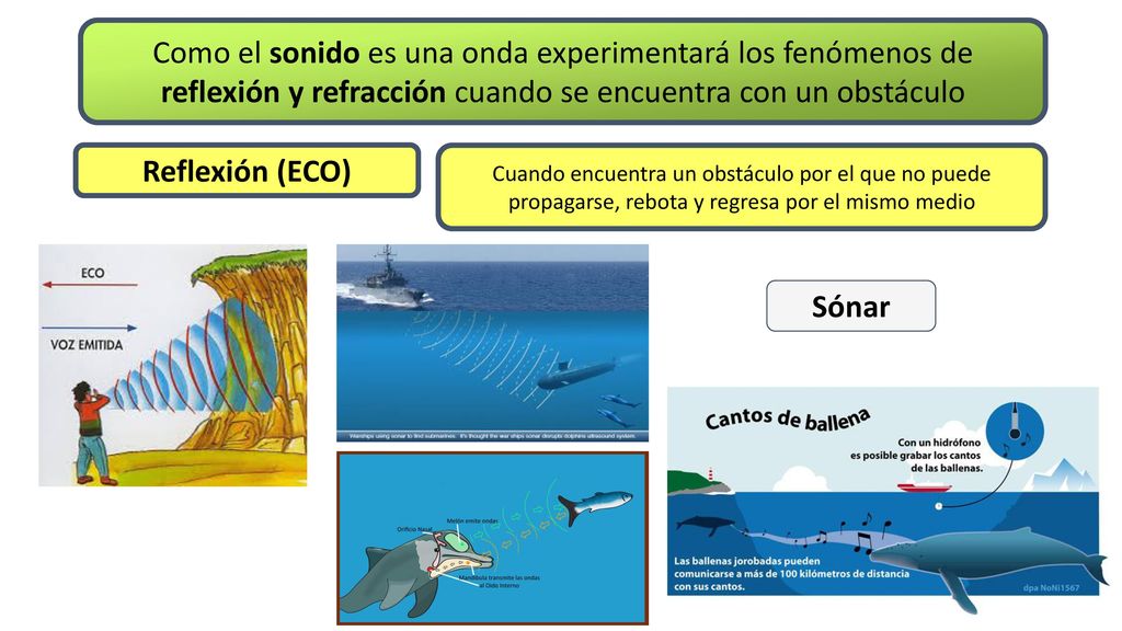 Como el sonido es una onda experimentará los fenómenos de reflexión y refracción cuando se encuentra con un obstáculo