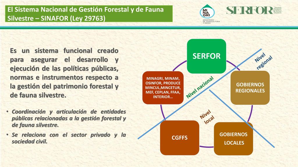 El Sistema Nacional de Gestión Forestal y de Fauna Silvestre – SINAFOR (Ley 29763)