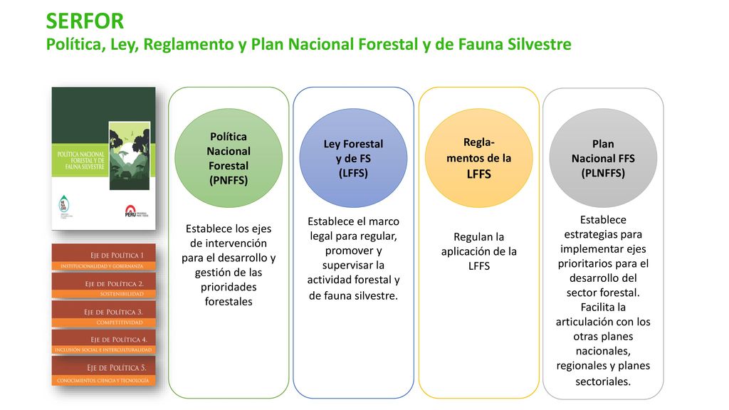 SERFOR Política, Ley, Reglamento y Plan Nacional Forestal y de Fauna Silvestre