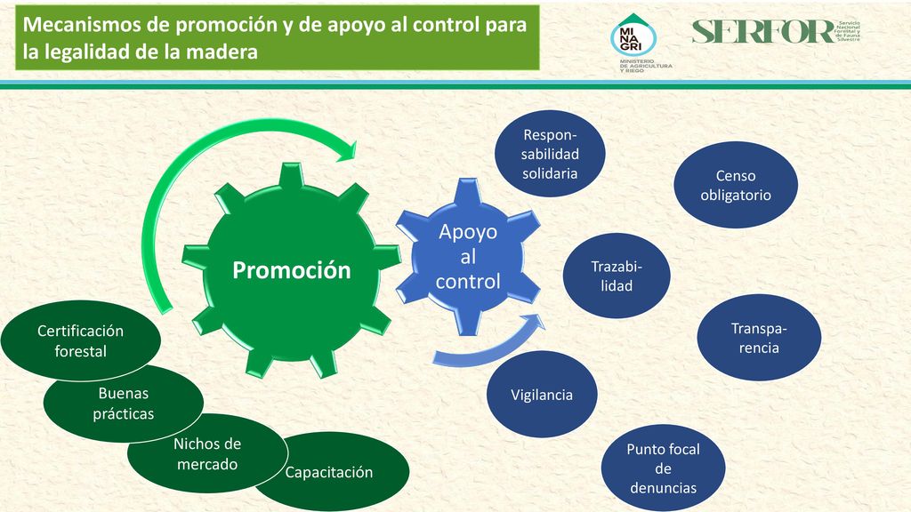 Mecanismos de promoción y de apoyo al control para la legalidad de la madera