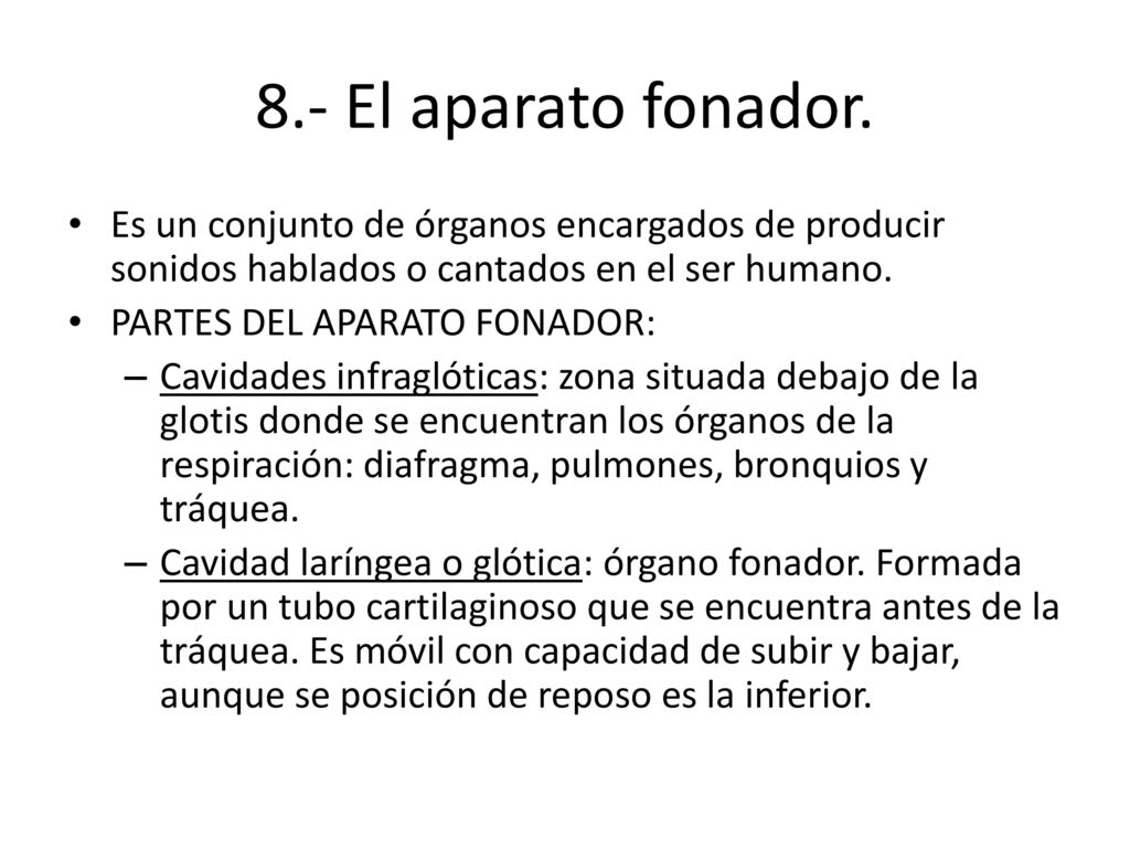 8.- El aparato fonador. Es un conjunto de órganos encargados de producir sonidos hablados o cantados en el ser humano.