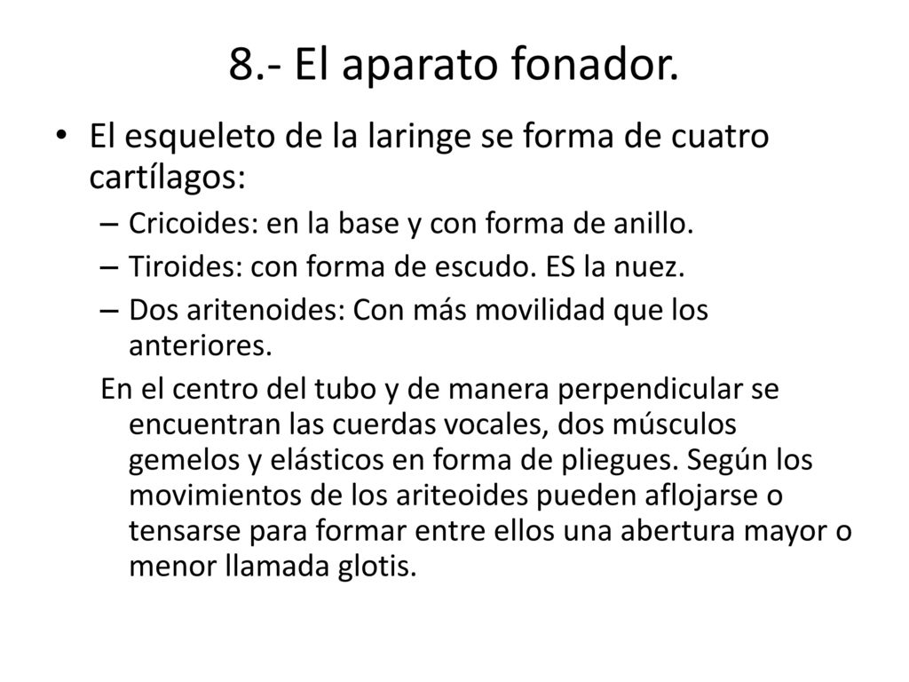8.- El aparato fonador. El esqueleto de la laringe se forma de cuatro cartílagos: Cricoides: en la base y con forma de anillo.