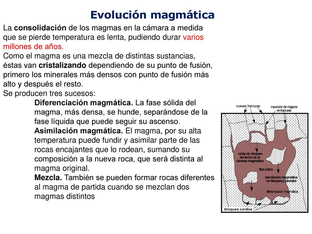La consolidación de los magmas en la cámara a medida que se pierde temperatura es lenta, pudiendo durar varios millones de años.