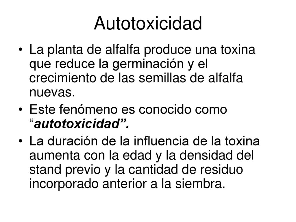 Autotoxicidad La planta de alfalfa produce una toxina que reduce la germinación y el crecimiento de las semillas de alfalfa nuevas.