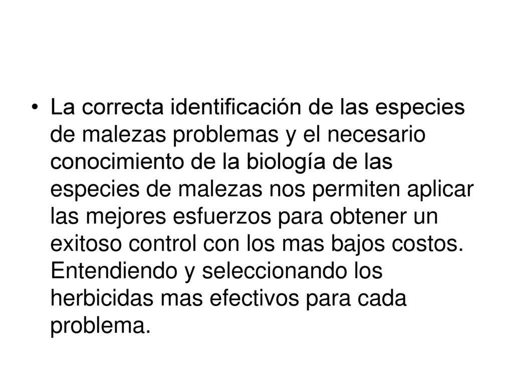 La correcta identificación de las especies de malezas problemas y el necesario conocimiento de la biología de las especies de malezas nos permiten aplicar las mejores esfuerzos para obtener un exitoso control con los mas bajos costos.
