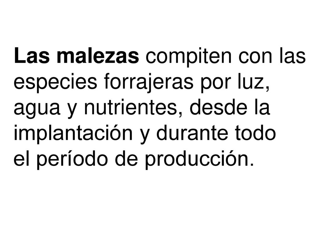Las malezas compiten con la alfalfa por luz, agua y nutrientes, desde la implantación y durante todo el período de producción.