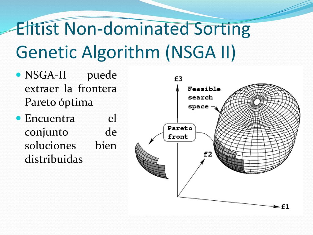 Elitist Non-dominated Sorting Genetic Algorithm (NSGA II)