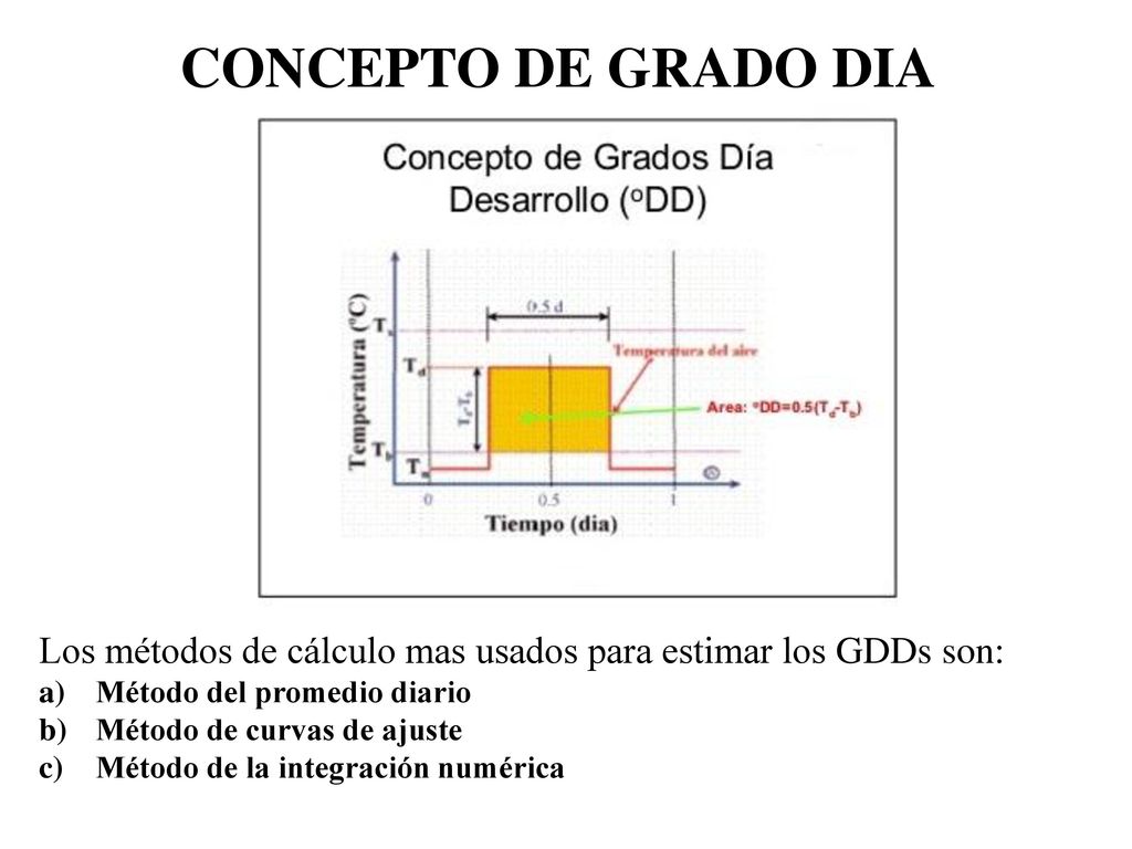 CONCEPTO DE GRADO DIA Los métodos de cálculo mas usados para estimar los GDDs son: Método del promedio diario.