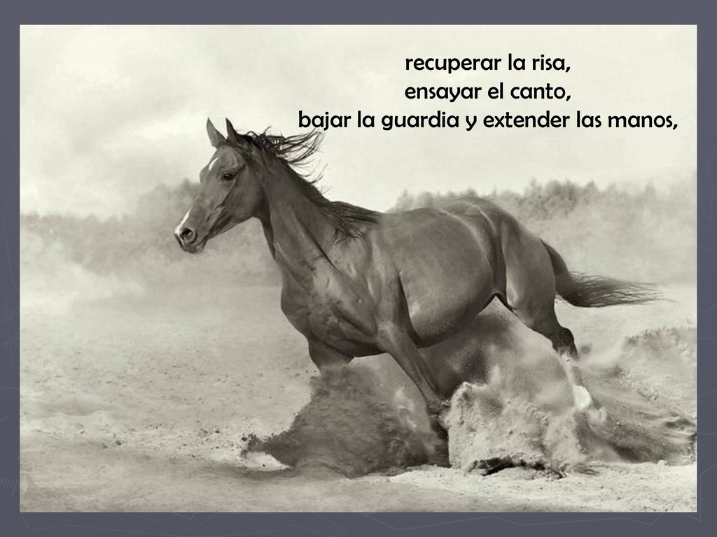 recuperar la risa, ensayar el canto, bajar la guardia y extender las manos,