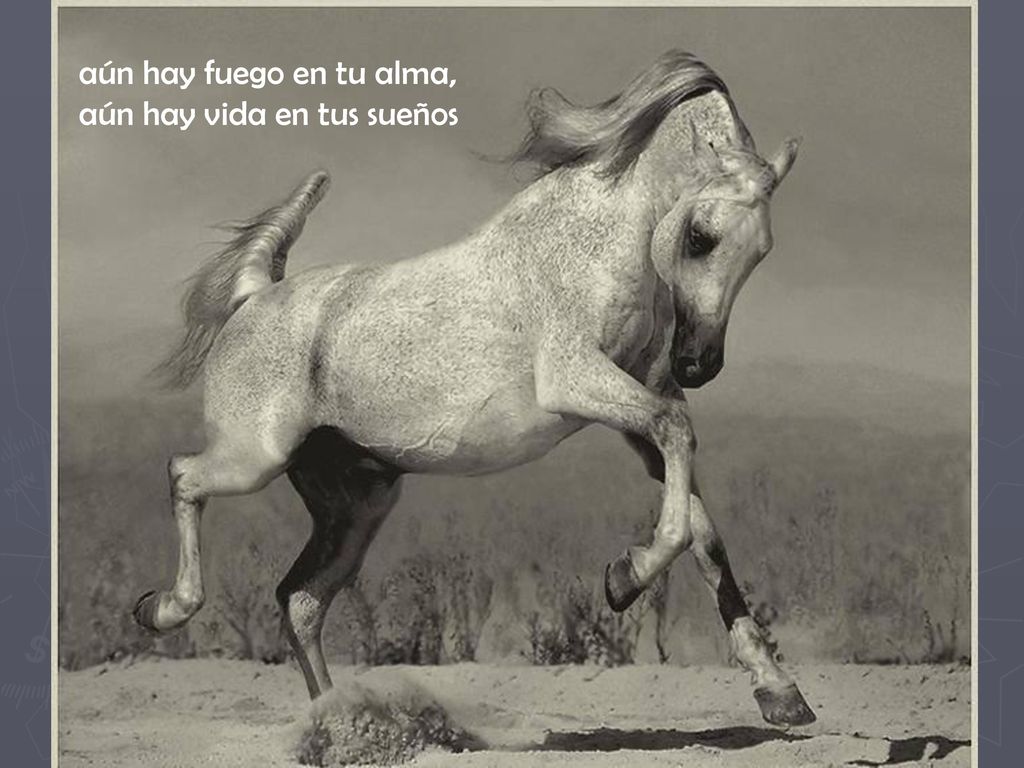 aún hay fuego en tu alma, aún hay vida en tus sueños