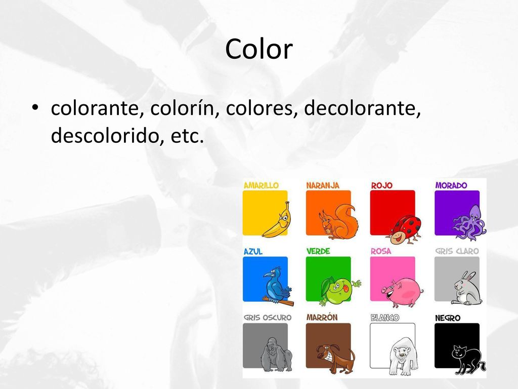 Color colorante, colorín, colores, decolorante, descolorido, etc.