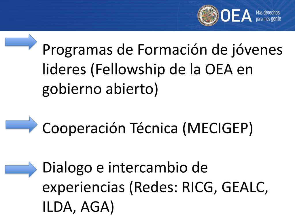 Programas de Formación de jóvenes lideres (Fellowship de la OEA en gobierno abierto) Cooperación Técnica (MECIGEP) Dialogo e intercambio de experiencias (Redes: RICG, GEALC, ILDA, AGA)