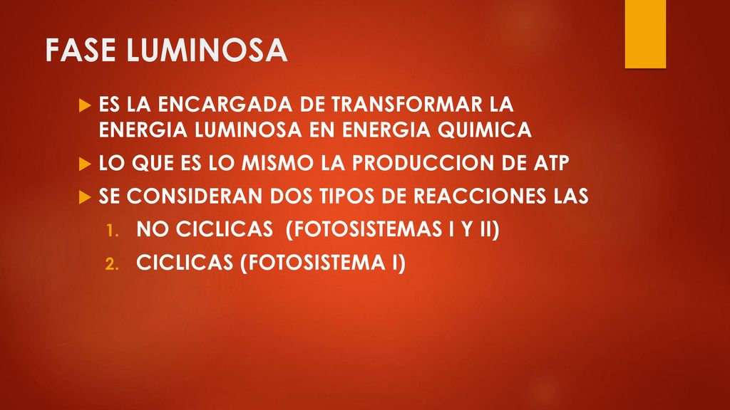FASE LUMINOSA ES LA ENCARGADA DE TRANSFORMAR LA ENERGIA LUMINOSA EN ENERGIA QUIMICA. LO QUE ES LO MISMO LA PRODUCCION DE ATP.