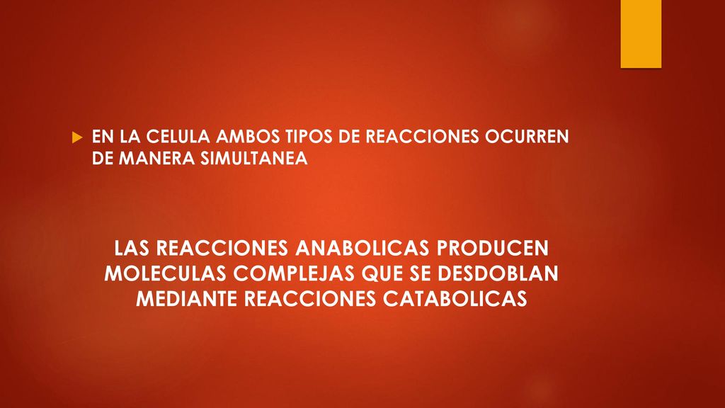 EN LA CELULA AMBOS TIPOS DE REACCIONES OCURREN DE MANERA SIMULTANEA