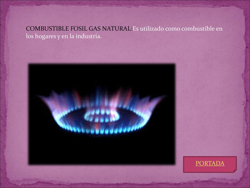 COMBUSTIBLE FOSIL GAS NATURAL:Es utilizado como combustible en los hogares y en la industria.