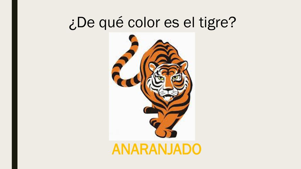 ¿De qué color es el tigre