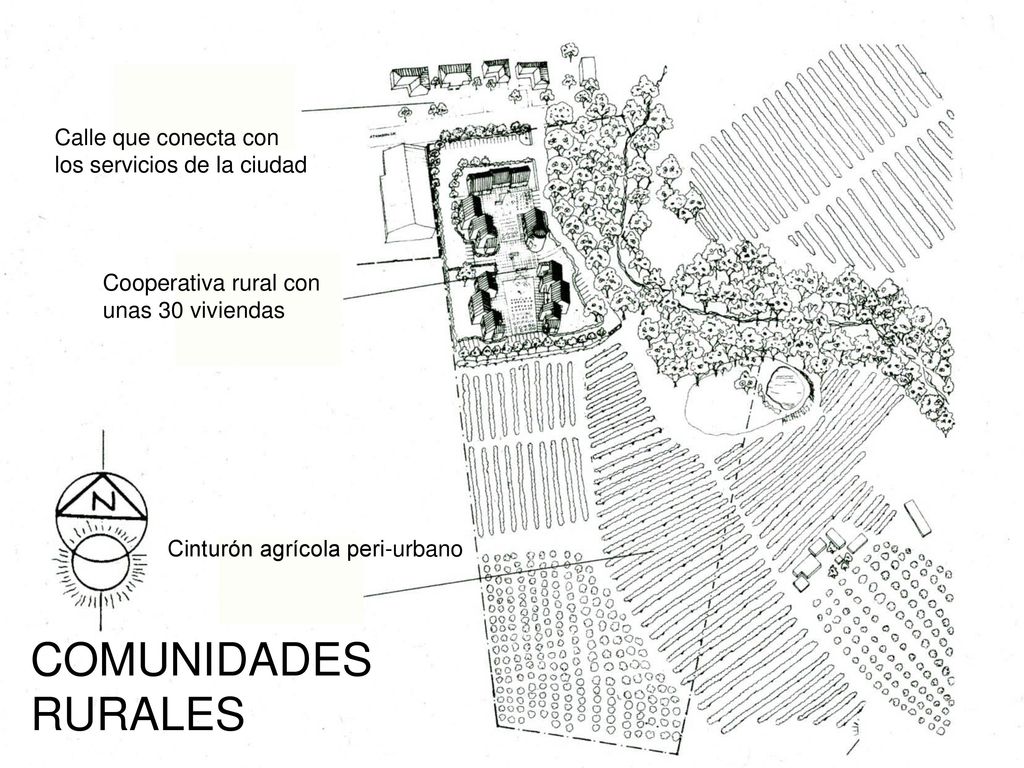 COMUNIDADES RURALES Calle que conecta con los servicios de la ciudad