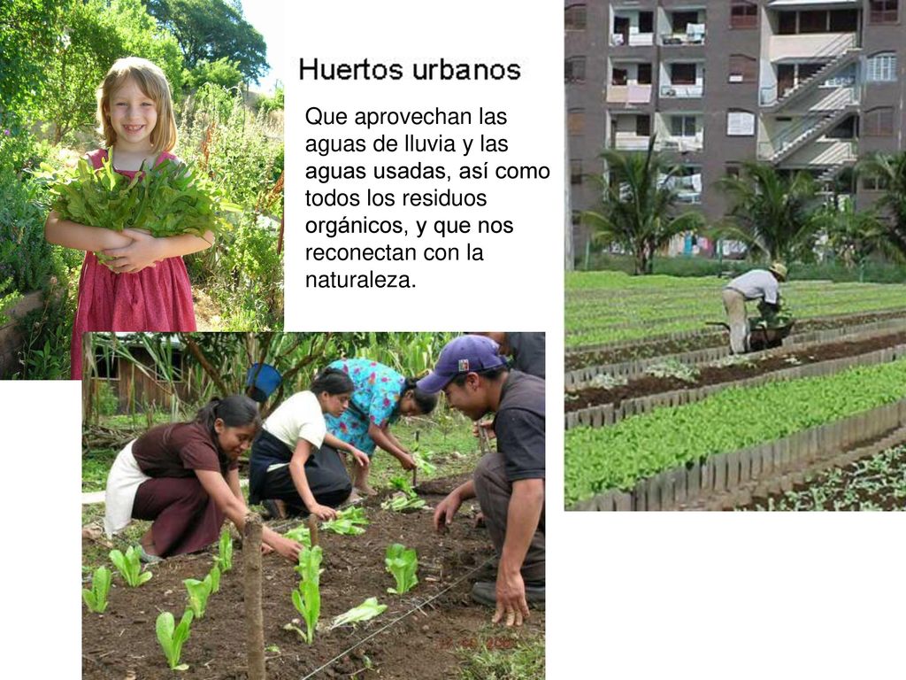 Que aprovechan las aguas de lluvia y las aguas usadas, así como todos los residuos orgánicos, y que nos reconectan con la naturaleza.