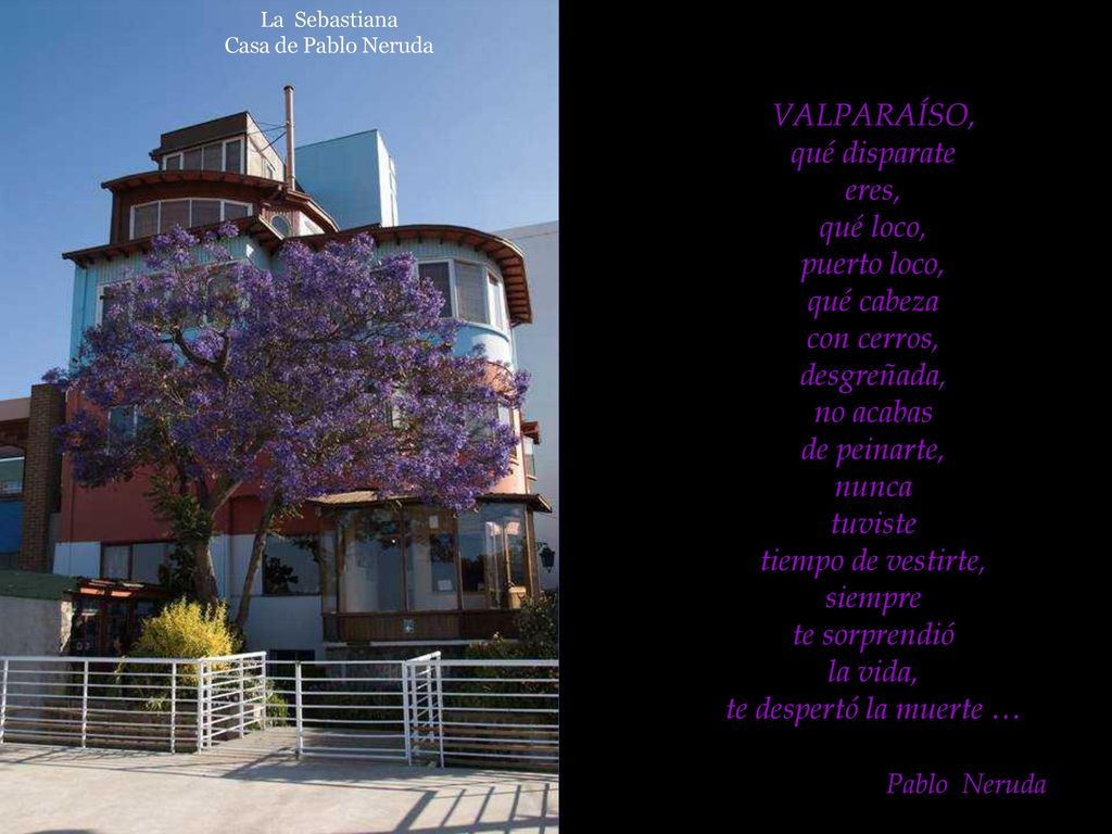 VALPARAÍSO, qué disparate eres, qué loco, puerto loco, qué cabeza con cerros, desgreñada, no acabas de peinarte, nunca tuviste tiempo de vestirte, siempre te sorprendió la vida, te despertó la muerte …