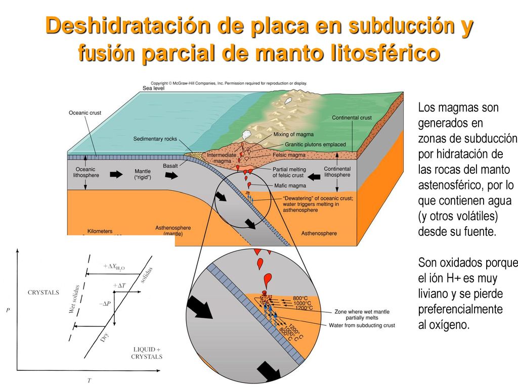 Deshidratación de placa en subducción y fusión parcial de manto litosférico