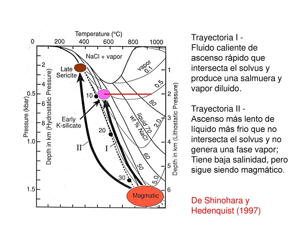 Trayectoria I - Fluido caliente de ascenso rápido que intersecta el solvus y produce una salmuera y vapor diluido.