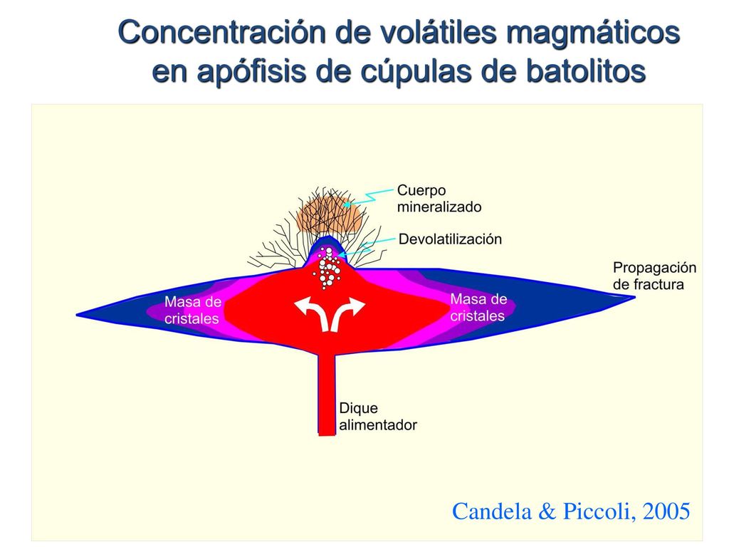 Concentración de volátiles magmáticos en apófisis de cúpulas de batolitos