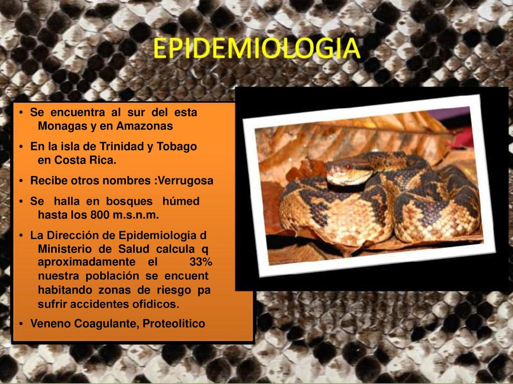 • Se encuentra al sur del esta Monagas y en Amazonas