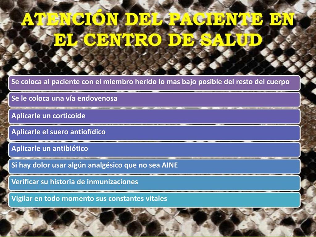 Se coloca al paciente con el miembro herido lo mas bajo posible del resto del cuerpo Se le coloca una vía endovenosa