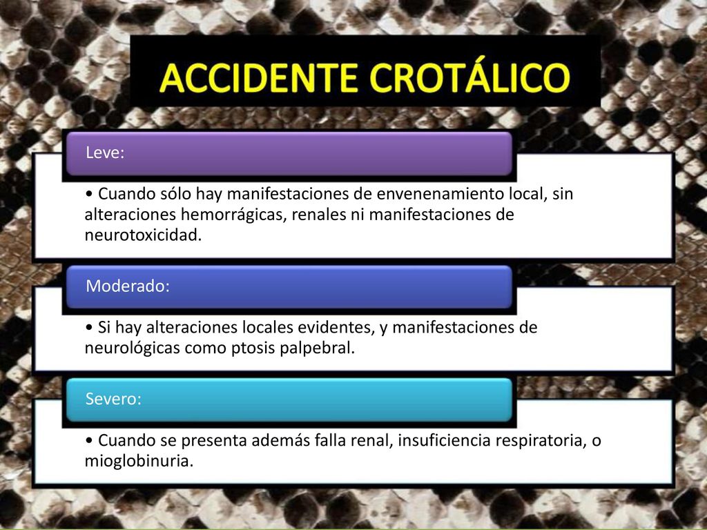 Leve: • Cuando sólo hay manifestaciones de envenenamiento local, sin alteraciones hemorrágicas, renales ni manifestaciones de neurotoxicidad.