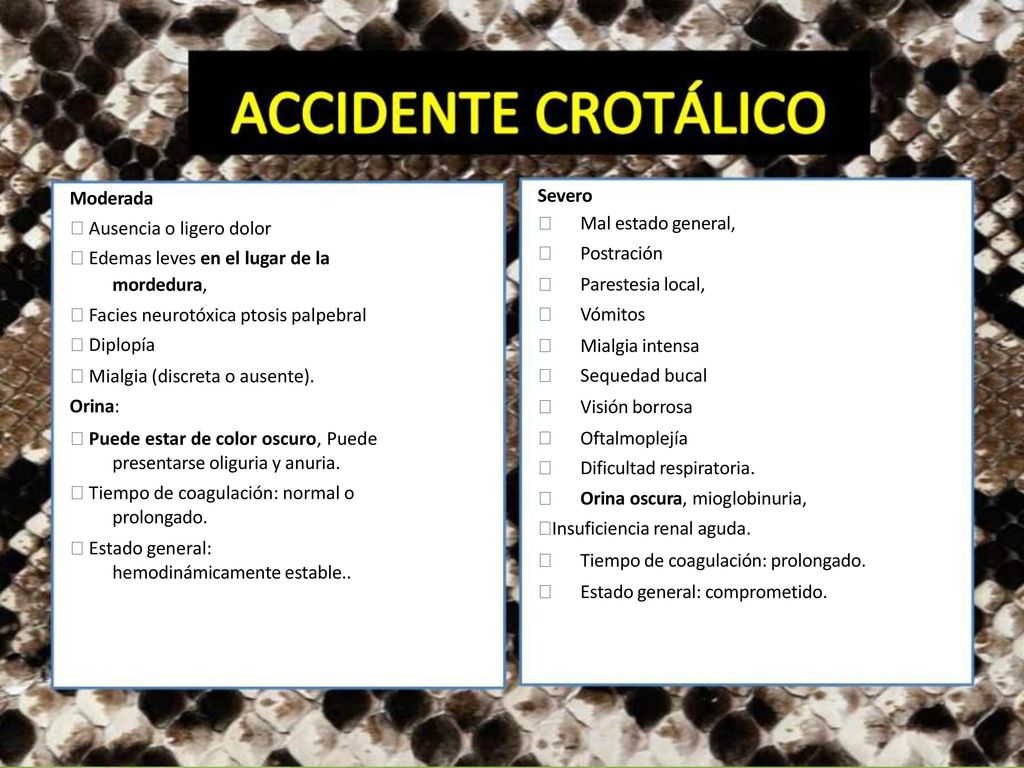 Moderada Severo.  Ausencia o ligero dolor  Edemas leves en el lugar de la.  Mal estado general,