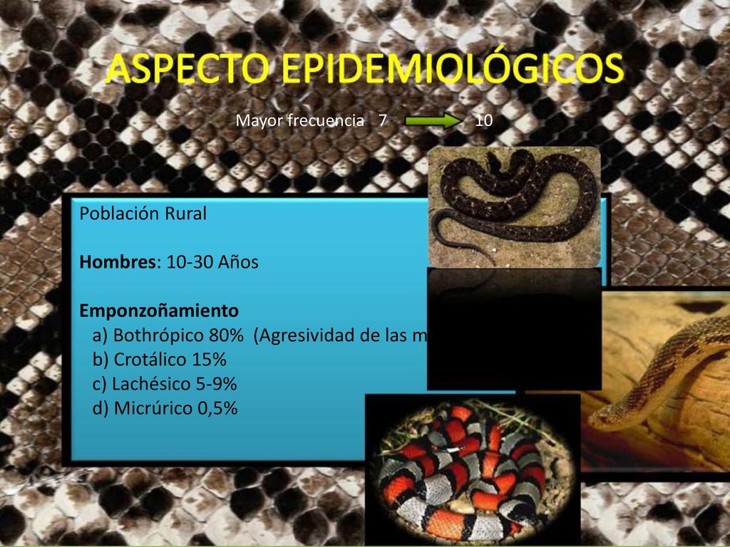 a) Bothrópico 80% (Agresividad de las m b) Crotálico 15%