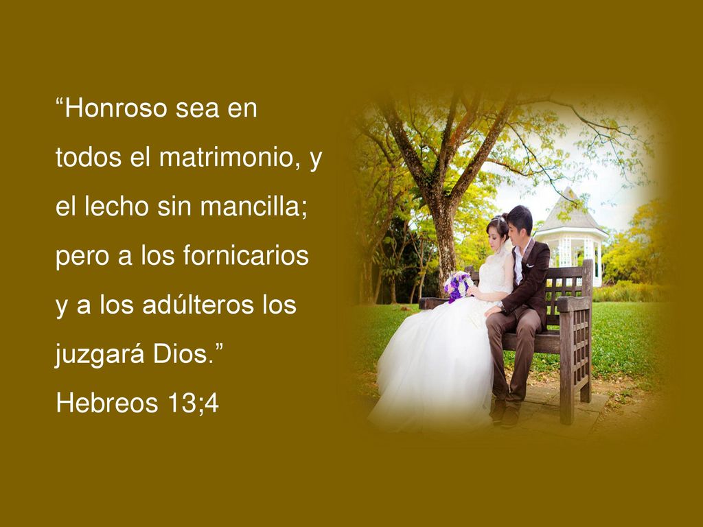 Honroso sea en todos el matrimonio, y el lecho sin mancilla; pero a los fornicarios y a los adúlteros los juzgará Dios. Hebreos 13;4