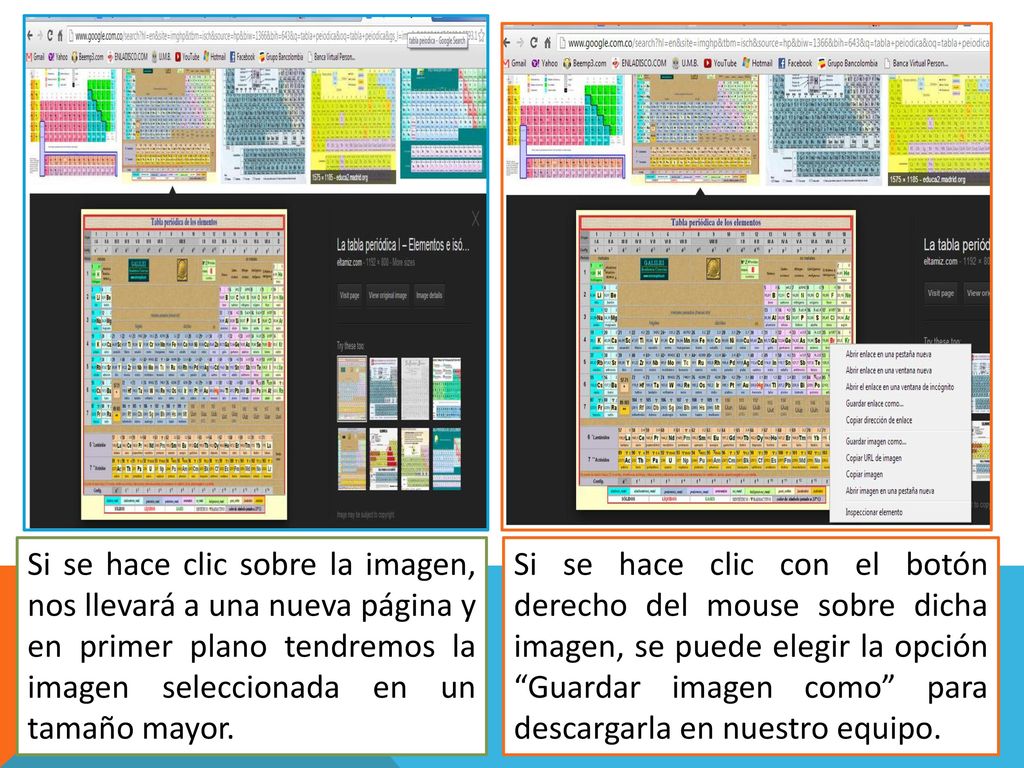 Si se hace clic sobre la imagen, nos llevará a una nueva página y en primer plano tendremos la imagen seleccionada en un tamaño mayor.