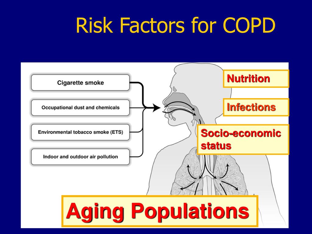 Risk Factors for COPD Aging Populations Nutrition Infections