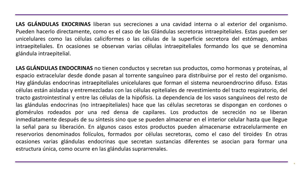 LAS GLÁNDULAS EXOCRINAS liberan sus secreciones a una cavidad interna o al exterior del organismo. Pueden hacerlo directamente, como es el caso de las Glándulas secretoras intraepiteliales. Estas pueden ser unicelulares como las células caliciformes o las células de la superficie secretora del estómago, ambas intraepiteliales. En ocasiones se observan varias células intraepiteliales formando los que se denomina glándula intraepitelial.