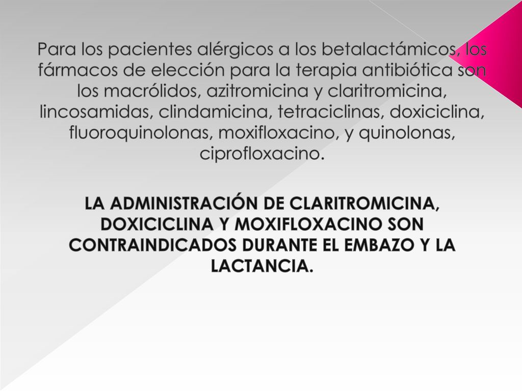 Para los pacientes alérgicos a los betalactámicos, los fármacos de elección para la terapia antibiótica son los macrólidos, azitromicina y claritromicina, lincosamidas, clindamicina, tetraciclinas, doxiciclina, fluoroquinolonas, moxifloxacino, y quinolonas, ciprofloxacino.