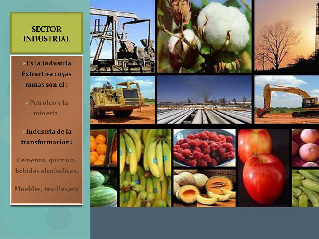 SECTOR INDUSTRIAL Es la Industria Extractiva cuyas ramas son el :