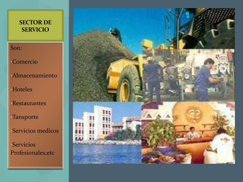 SECTOR DE SERVICIO Son: Comercio. Almacenamiento. Hoteles. Restaurantes. Tansporte. Servicios medicos.